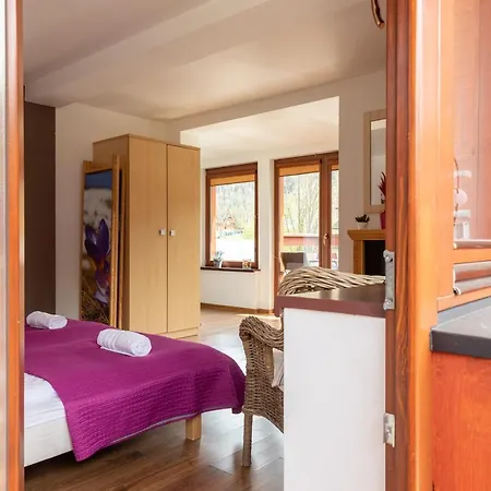 Dolina Zakopane Apartment *