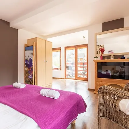 Dolina Zakopane Apartment *