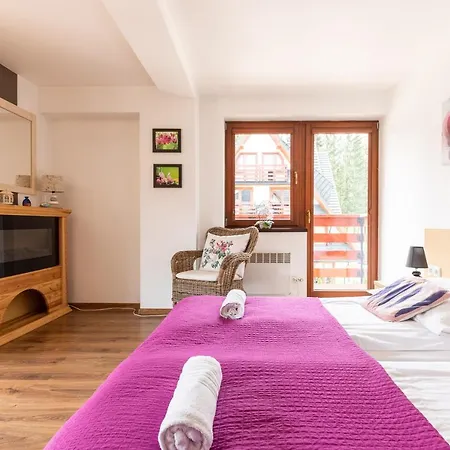 Dolina Zakopane Apartament Kościelisko