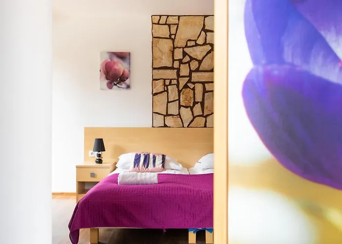 Dolina Zakopane * Kościelisko